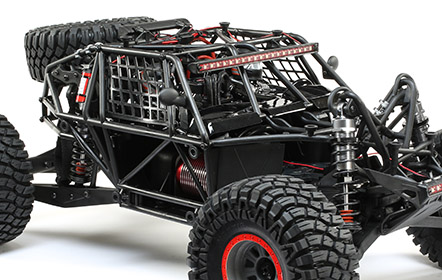 Roll Cage de corpo inteiro